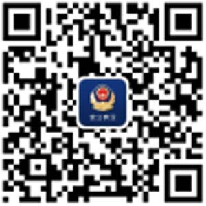 证照办理、快处快赔、出生落户 27项公安业务用手机就能办