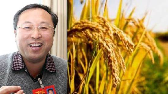 【中国梦实践者】潘国君：创新+韧劲培育精品 为粮食安全保驾护航