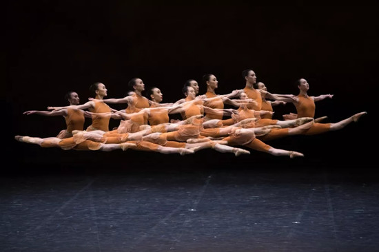 重磅丨2017新华社年度照片精选