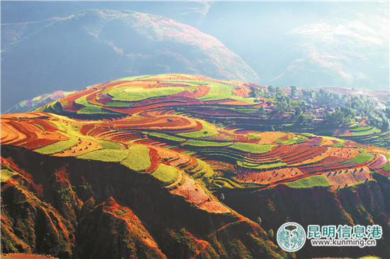 【新时代有话说】奋力开创幸福美丽新铜都建设新局面