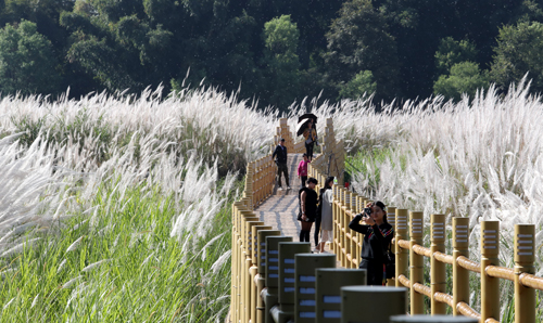 【两会云声音】“健康生活目的地”让“健康云南”全新起航