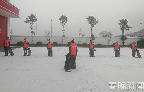 消防队搜救犬不一般 冰天雪地苦练功