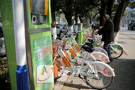绿色出行成为城市靓丽风景