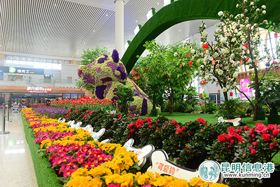 春节黄金周 中国铁路昆明局集团有限公司发送旅客101.9万人 春节黄金周 中国铁路昆明局集团有限公司发送旅客101.9万人