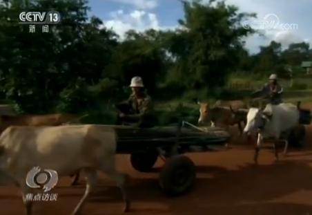 领航（五）构建人类命运共同体