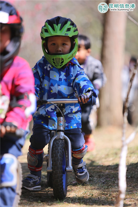第十八届春城桃花文化节在郊野公园绚丽启幕