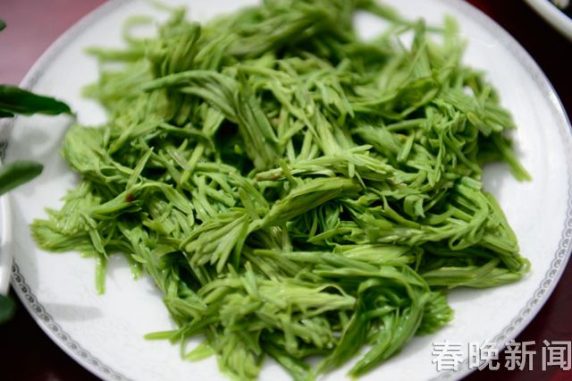 『沙松尖』 『沙松尖』