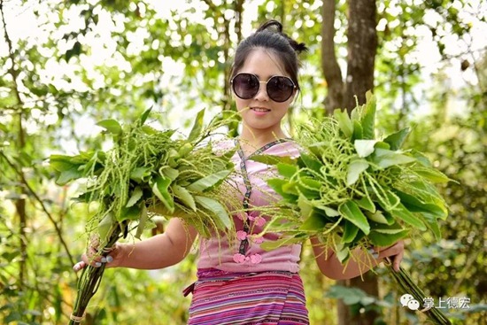 老板 我要请假去德宏过泼水节