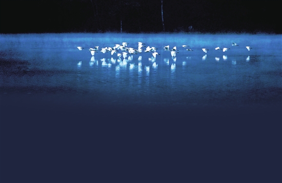 百名摄影师穿行悬崖绝壁 拍摄德宏珍禽异兽 百名摄影师穿行悬崖绝壁 拍摄德宏珍禽异兽