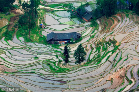     湖南新化紫鹊界梯田  
