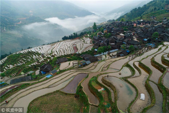     贵州从江加榜梯田  