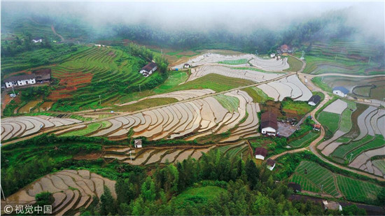 江西崇义上堡梯田