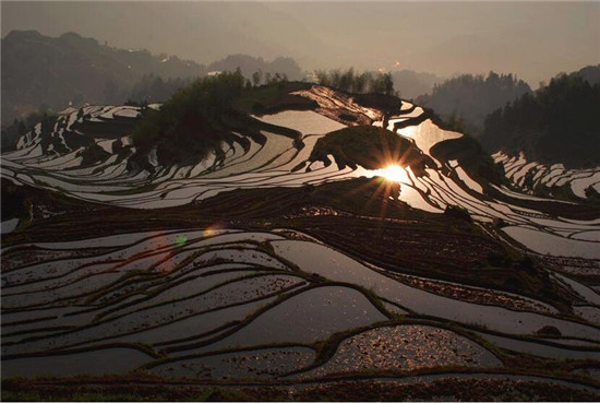     浙江云和梅源梯田  