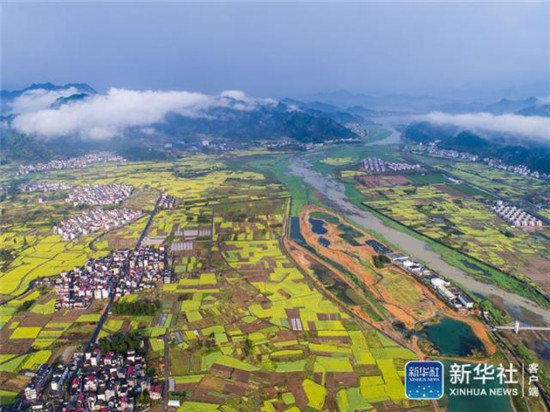 4月3日,浙江省杭州市淳安县千岛湖汾口镇湿地公园内的景观池塘、盛开的郁金香与周边数千亩油菜花相映成趣,构成美丽的春季乡村图景(无人机拍摄)。据悉,汾口镇湿地公园是汾口镇小城镇环境综合整治提升的亮点工程,整个湿地占地500余亩,并配备污水处理系统、人工湿地等净水设施。新华社记者 徐昱 摄 4月3日,浙江省杭州市淳安县千岛湖汾口镇湿地公园内的景观池塘、盛开的郁金香与周边数千亩油菜花相映成趣,构成美丽的春季乡村图景(无人机拍摄)。据悉,汾口镇湿地公园是汾口镇小城镇环境综合整治提升的亮点工程,整个湿地占地500余亩,并配备污水处理系统、人工湿地等净水设施。新华社记者 徐昱 摄