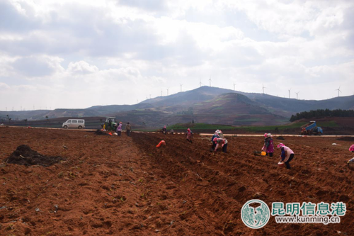 2017年六哨乡春耕农事生产中机械化操作