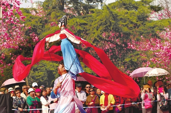 到昆明动物园边赏樱花边看木偶戏