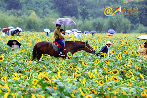 20180814100824668 (1)