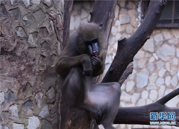 137482324_15374510640151n