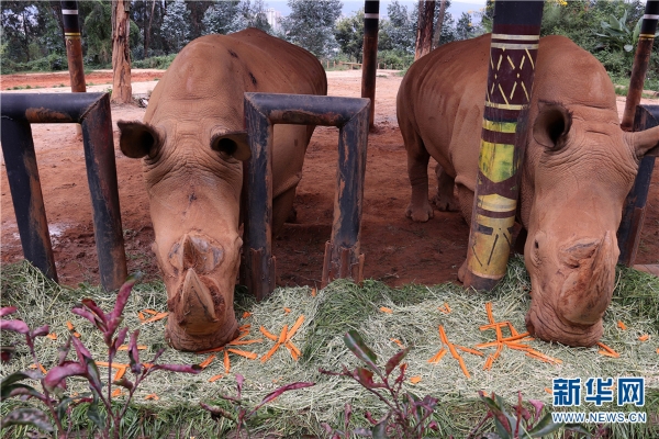 137482324_15374510642921n