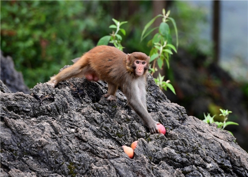 20181106163720VCWE3H