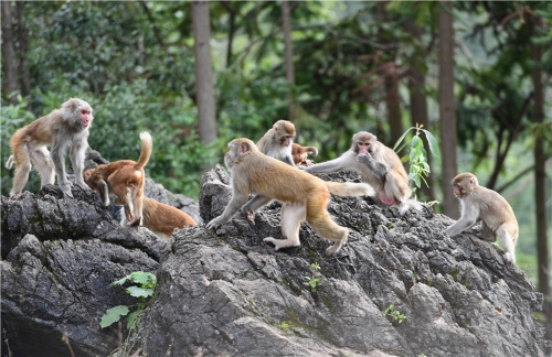 20181106163721MFDF96