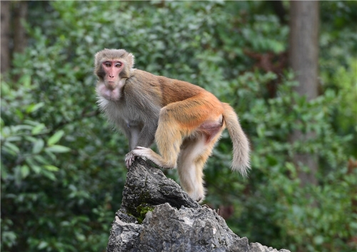 20181106163721NAW1BU