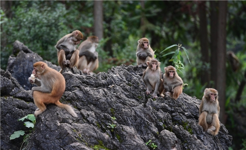 201811061637220N6XOV