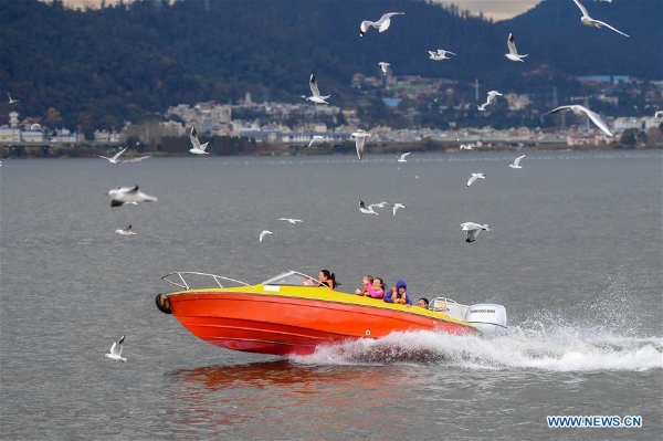 137713427_15463860836821n