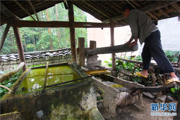 137888655_15523726784851n