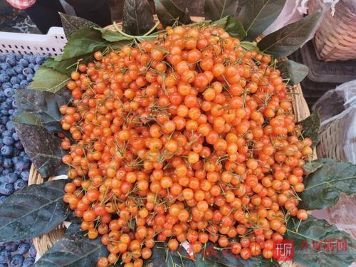 430856_670x670 430856_670x670