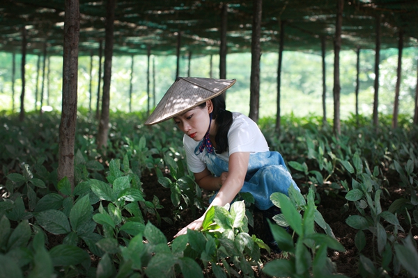 5f178168a3108348fcdf2b4d