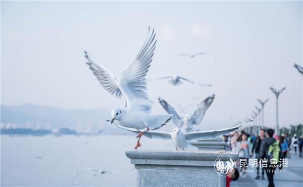 5f21441da3108348fce11ee3