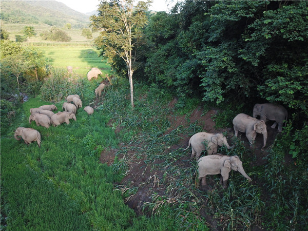 5f2ba7c9a3108348fce2ed69