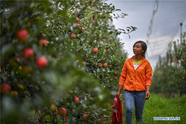 139276921_15969550189571n_副本