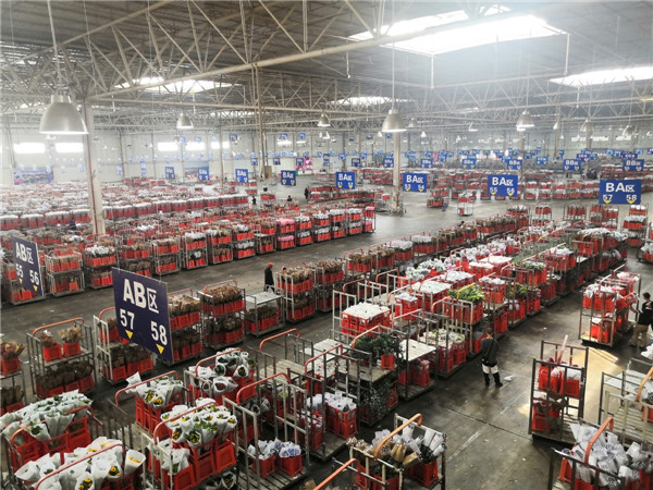 5f3d88b1a3108348fce62b68