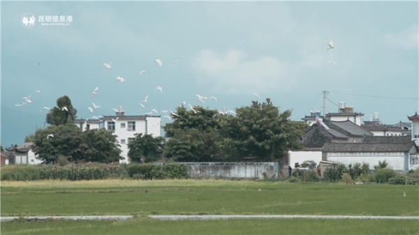 正片.00_02_12_05.Still003