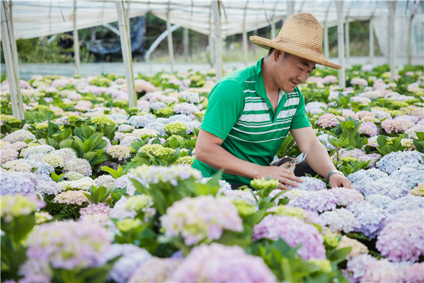 5f557feca310675e209c52e9