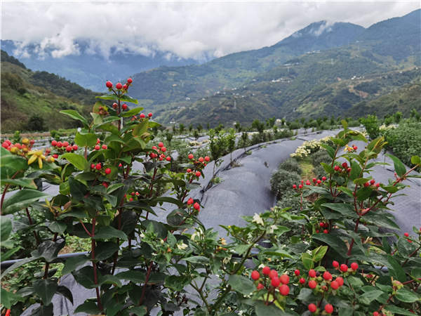 5f696ed5a31024adbd95982a 5f696ed5a31024adbd95982a