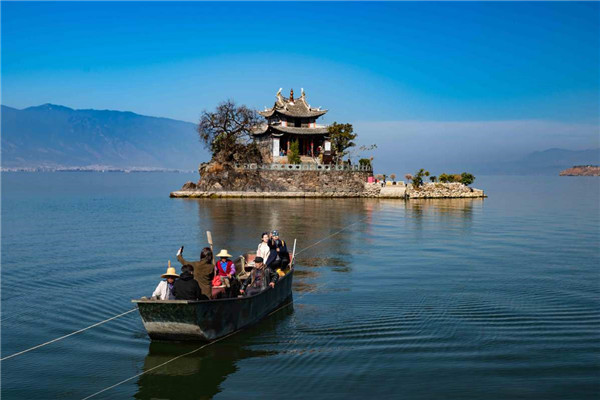 5fb31f19a31024adbda24503