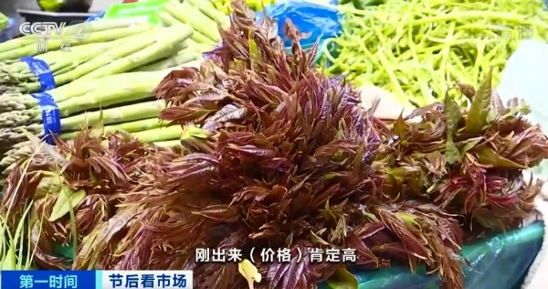 20210222080337F05EGP