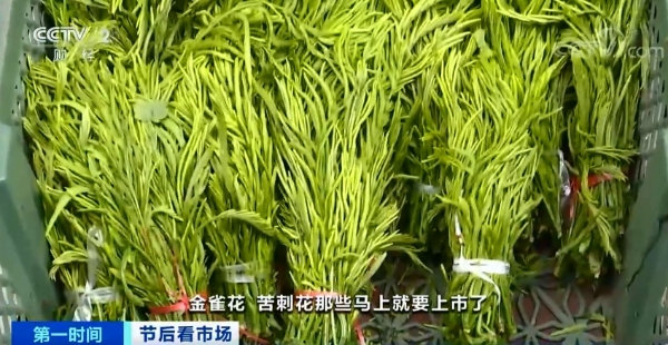 20210222080338G7C726