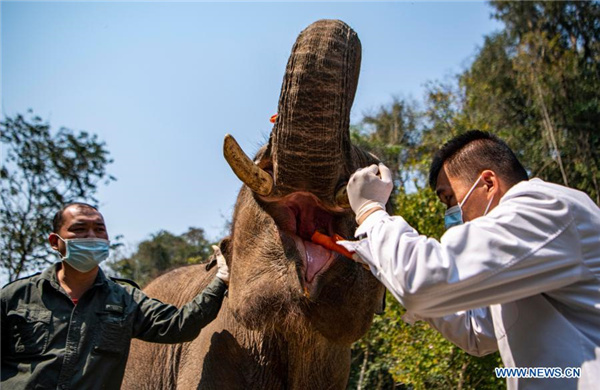 139792474_16151275329211n_副本