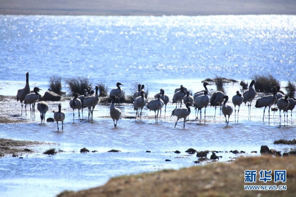 139831298_16165464091541n 139831298_16165464091541n