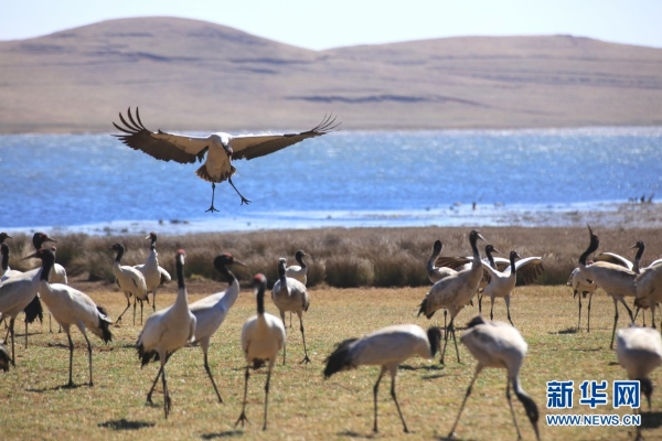 139831298_16165464092841n 139831298_16165464092841n