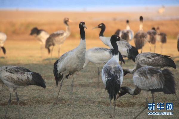 139831298_16165464094041n 139831298_16165464094041n