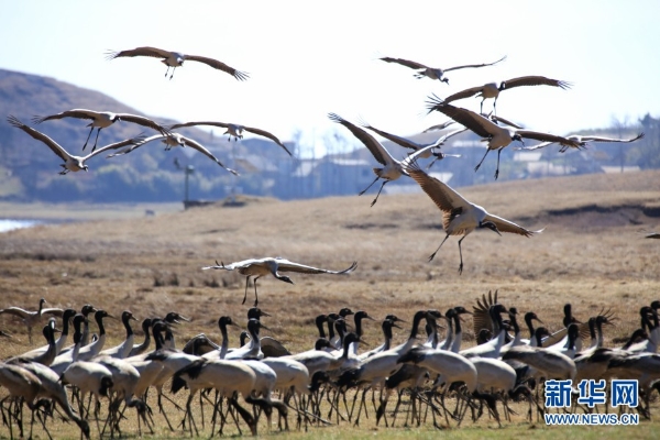 139831298_16165464095471n 139831298_16165464095471n