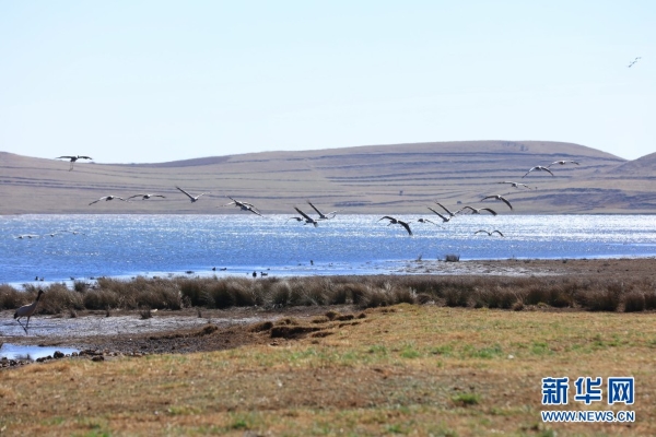 139831298_16165464096741n 139831298_16165464096741n