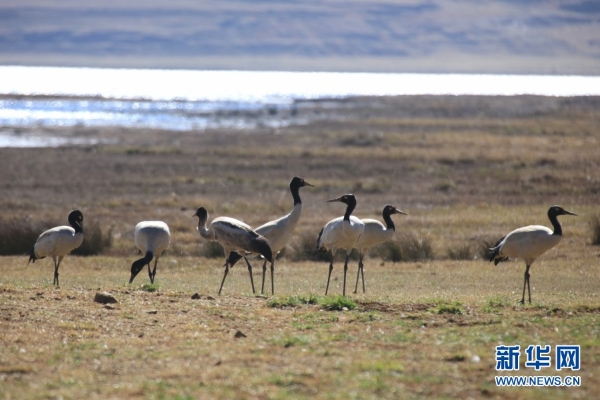 139831298_16165464098101n 139831298_16165464098101n