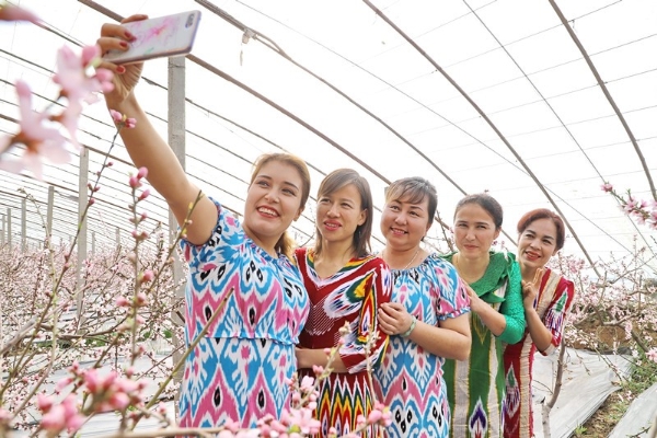 605ad69aa31024adbdbd830b 605ad69aa31024adbdbd830b