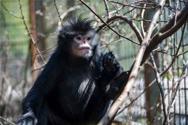 139844473_16170128755941n_副本